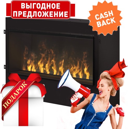 Dimplex GBF1000PRO Opti-myst Pro 1000 Built-in