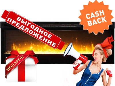 Dimplex Synergy +Wi-Fi (с обогревом)