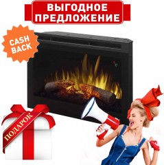 Dimplex DFR2551L 25 DFR Series