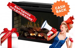 Dimplex PF3033HL 33 Multi-Fire XD