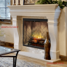 Dimplex Revillusion® 36P